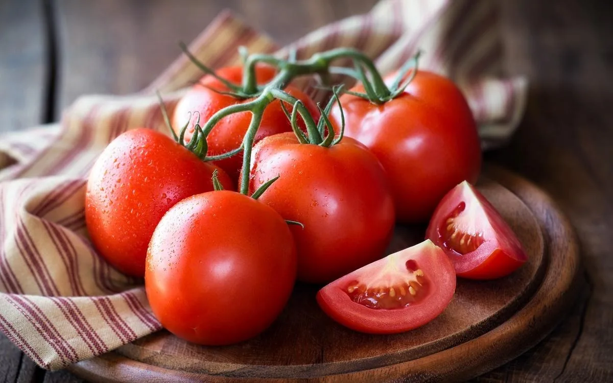 خشک کردن گوجه فرنگی در زمین های بزرگ +عکس