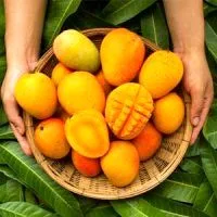 میزان قند هر میوه چقدر است ؟
