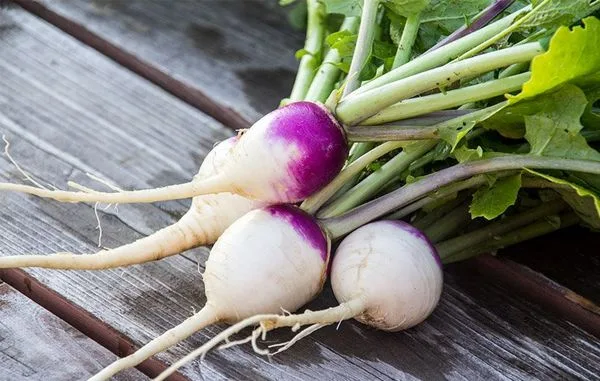 معجون معجزه آسا برای مبارزه با آنفلوآنزا و کرونا