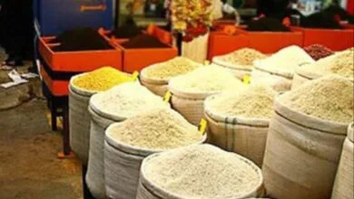 افزایش ۵ درصدی نرخ برنج ایرانی با آغاز هفته جاری