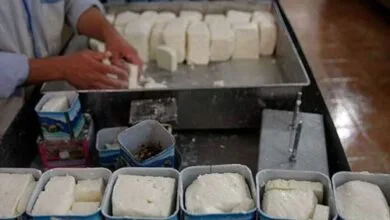 رشدقیمت پنیر در میادین میوه و ترهبار