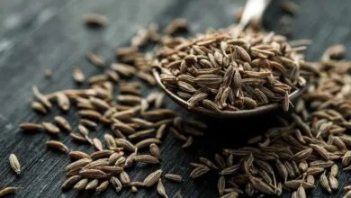 جلوگیری از رشد تومورها با ادویه خوشمزه