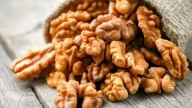 مزایای آجیل در رژیم غذایی / برای کاهش وزن گردو مصرف کنید