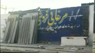 بازار فروش پرندگان تعطیل شد