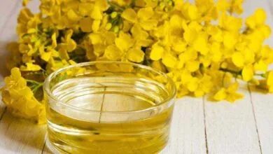 فواید فوقالعاده «روغن کلزا»