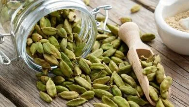 بهبود سلامت دهان با یک درمان قدیمی و سنتی
