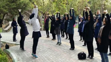 مواد غذایی موثر در بهبود علائم یائسگی