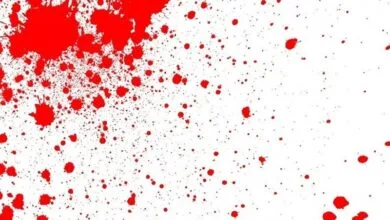 چاقوکشی مرگبار مرد جوان با ۲ موتورسوار محله مجیدیه