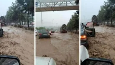 مصاحبه جنجالی در مشهد منجر به عزل یک مسئول شد