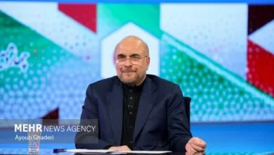 جنجالیترین ایرانیِ خارجنشین، حامی قالیباف شد