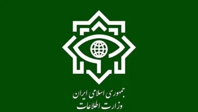 ۱۴ تروریست داعشی در ۴ استان کشور بازداشت شدند
