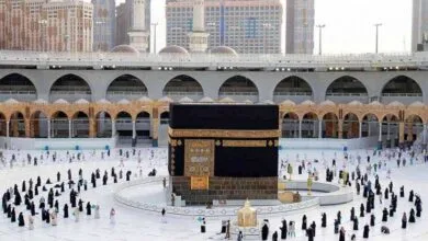 کاهش عجیب قیمت فیش عمره/ علت مشخص شد؟