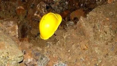 حادثه دلخراش در معدن طلای قروه/ کارگر زیر بولدوزر جان باخت