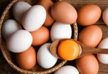 تخممرغ کیلویی چند؟