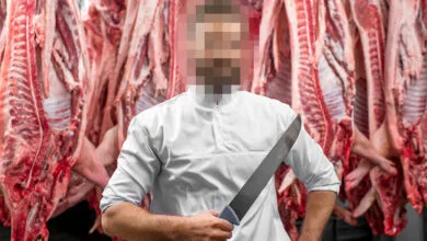 سلاخی و فروش گوشت ۶ اسب در یکی از شهرهای ایران | خطرات مصرف گوشت اسب