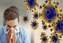 شایعترین انواع ویروسهای آنفلوآنزا
