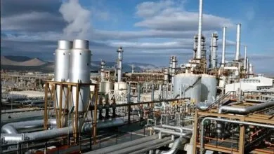 گاز ۱۲ پتروشیمی قطع شد
