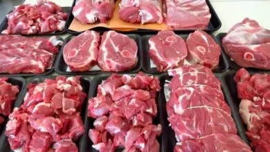قیمت جدید دام زنده اعلام شد/ جدول قیمت انواع گوشت گوسفندی
