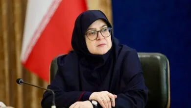سخنگوی دولت: ایجاد روحیه منفی کمکی به حل مشکلات نمیکند