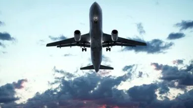 حادثه برای هواپیمای شیراز بهخاطر یک عقاب