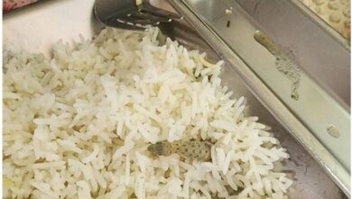 واکنش دانشگاه علوم پزشکی کاشان به مارمولک خبرساز