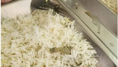 واکنش دانشگاه علوم پزشکی کاشان به مارمولک خبرساز