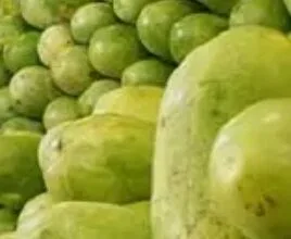 ماده کلیدی برای جذب آب
