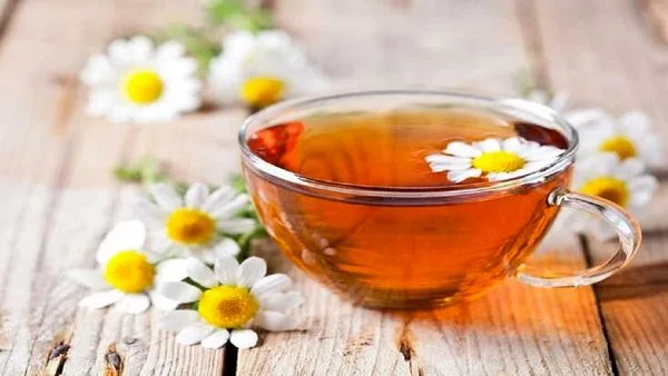 عوارض نوشیدن بیش از حد چای سیاه + اینفوگرافیک