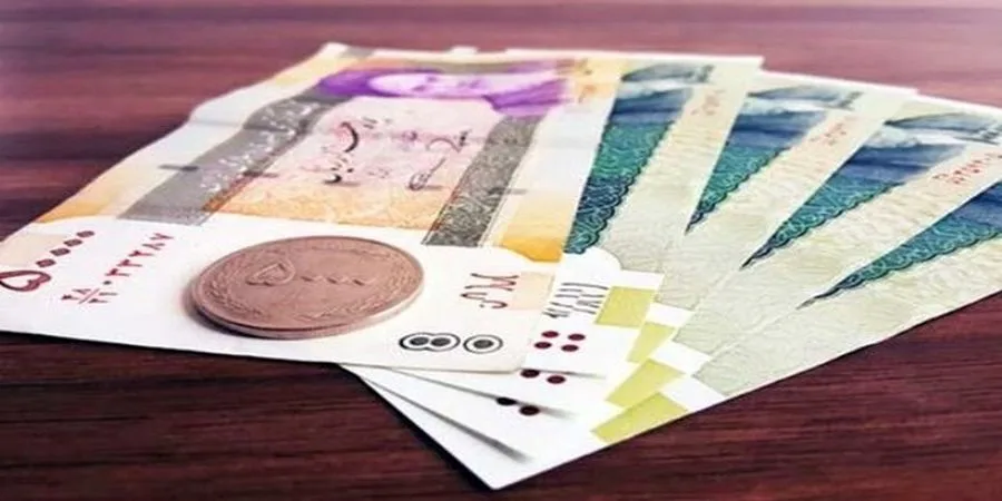 پیامک وزارت رفاه به جاماندگان از یارانه