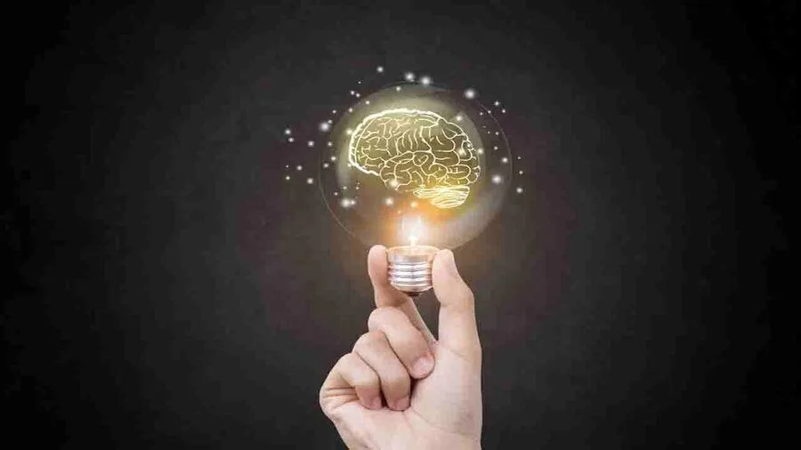 تغذیه مناسب برای تقویت حافظه