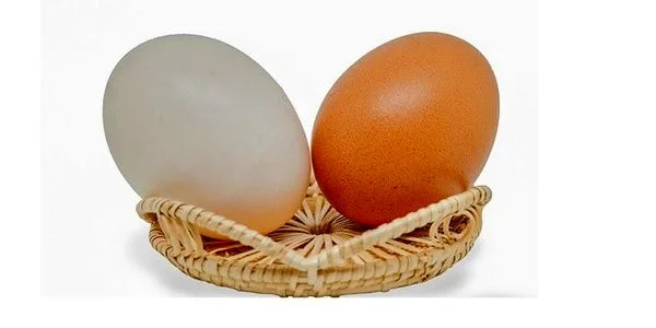 جایگزین مفید تخم مرغ در رژیم غذایی