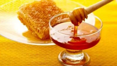 تاثیر عسل برای ریشه‌کن کردن عفونت‌های خطرناک ریوی