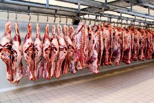افزایش مبتلایانِ تب کریمه‌کنگو / توصیه اکید به حجاج