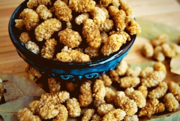 خواص توت خشک در لاغری