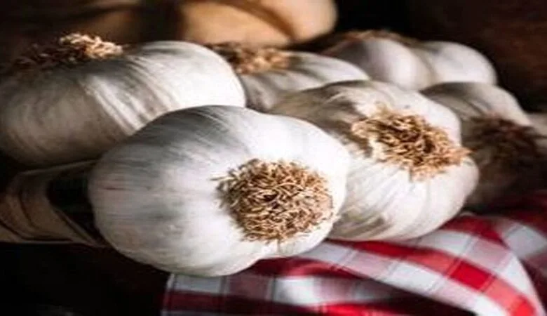 هشدار برای برخی از افراد/ به هیچ وجه نباید سیر بخورید