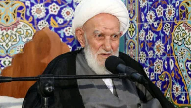 آیت الله ناصری بستری شد