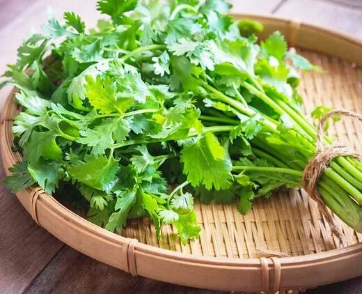 تقویت مغز دوم با گیاه کوچک