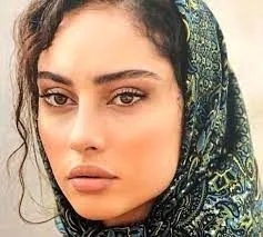 عکس خانم بازیگر هم داخل ماشین پلیس +عکس
