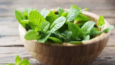 مهم ترین فواید این سبزی رایج /بهبود رشد و سلامت موها