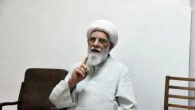 اظهارات آیت الله رحمت درباره حکم «محاربه» / حکم ترساندن مردم و بستن خیابان، «اعدام» نیست