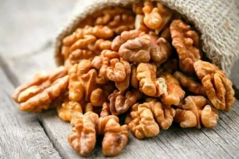 مزایای آجیل در رژیم غذایی / برای کاهش وزن گردو مصرف کنید