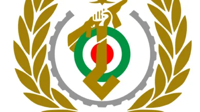حمله ناموفق با استفاده از ریز پرنده به یک مجتمع کارگاهی وزارت دفاع