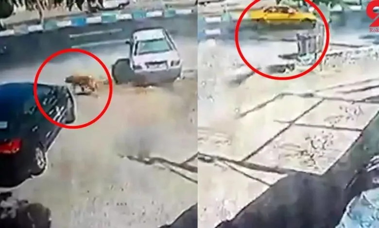 مرگ هولناک دانش آموز 14 ساله+ جزئیات ماجرا اعلام شد