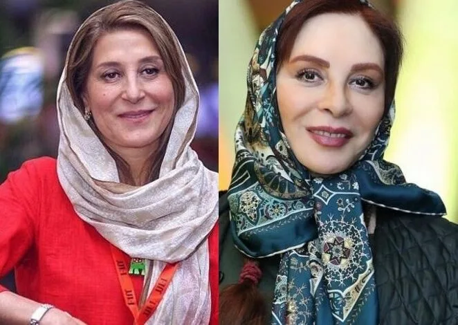 برای افسانه بایگان و فاطمه معتمد آریا پرونده قضایی تشکیل شد