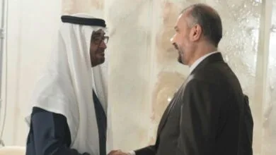 امیرعبداللهیان با رئیس دولت امارات دیدار کرد