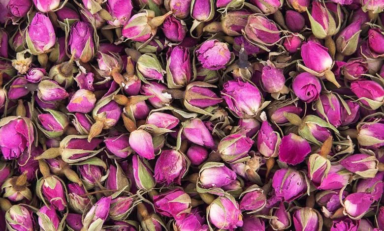 خواص معجزه آسای « گل محمدی » برای سلامتی بدن