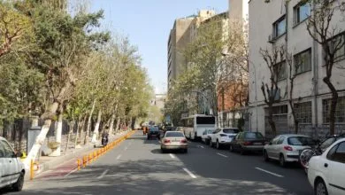 ویدئویی عجیب در یکی از زیباترین خیابان کرج