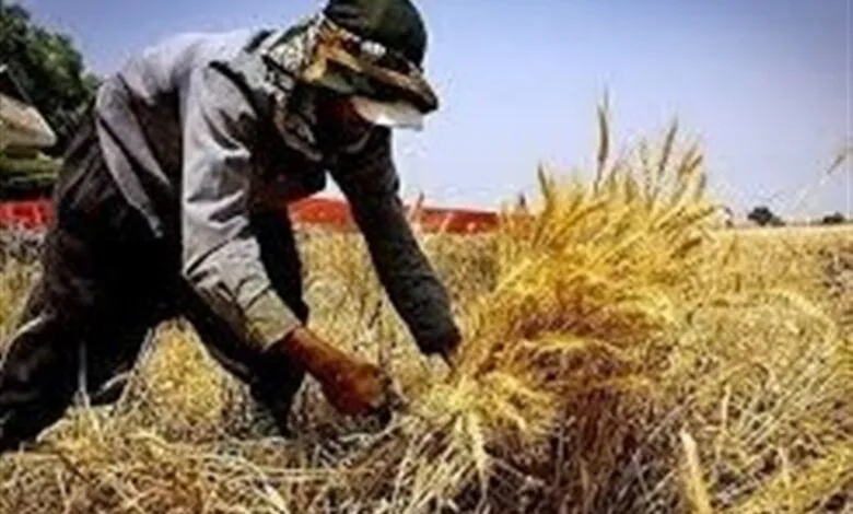 سقف وام اشتغال روستایی افزایش یافت