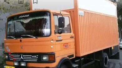 شوخی باحال راننده ایرانی با سگ!