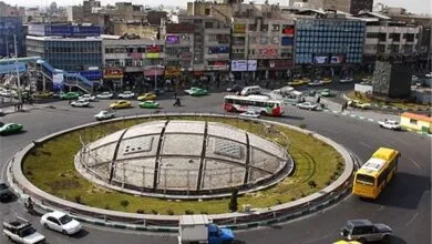 پیرمردی ایرانی که بار کار زشت اش پربازدید شد
